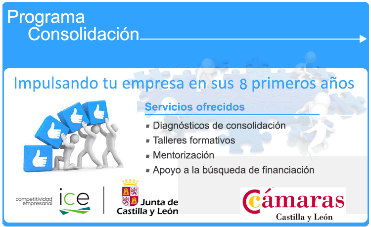 Programa de consolidación empresarial