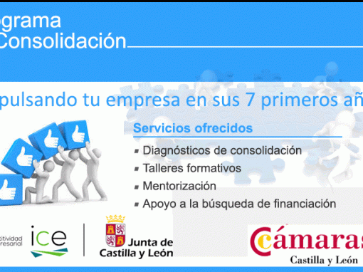FORMACIÓN CONSOLIDACIÓN EMPRESARIAL