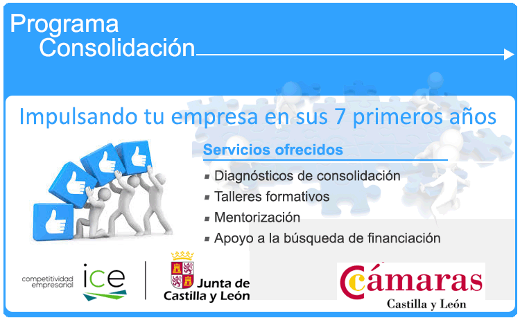 Programa de consolidación empresarial