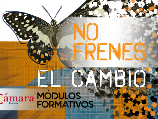 CURSO TRANSFORMACIÓN DIGITAL
