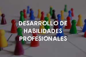 DESARROLLO DE HABILIDADES PROFESIONALES