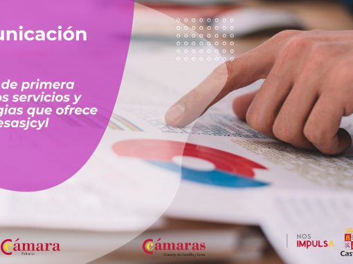 INSTRUMENTOS FINANCIEROS DE APOYO A LAS EMPRESAS EN LA ACTUAL COYUNTURA