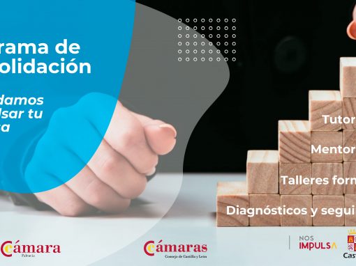 FORMACIÓN DEL PROGRAMA DE CONSOLIDACIÓN EMPRESARIAL