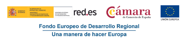 Acelera la transformación digital de tu pyme (1)